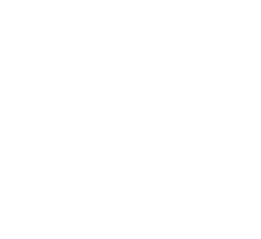 Segurança, Cyber e Fisica